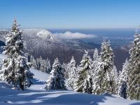 Verschneiter Bergwald und Wolkenfeld am Riesenberg